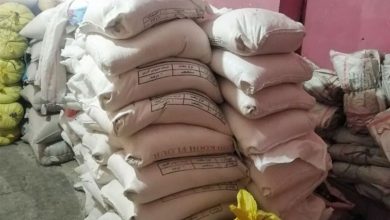 کشف 16 تن مغز بادام قاچاق خارجی در دشتستان به ارزش بیش از 100 میلیارد / اخبار بوشهر - اخبار استانها