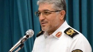 شمارهگذاری خودروهای وارداتی در کیش آغاز شد / اخبار جزایر خلیج فارس - اخبار استانها