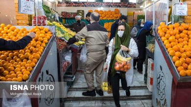 رکود بازار میوه در مشهد؛ قیمتها کاهش یافت / میوه , رکود بازار , کاهش قیمت , شب یلدا , اتحادیه بارفروشان مشهد