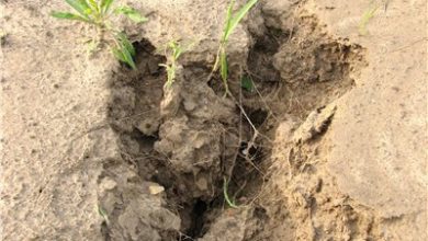 فرسایش ترسناک 30 تنی خاک در شرق گلستان/ قانون جامع خاک 'خاک' میخورد / اخبار گلستان - اخبار استانها