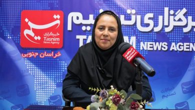 اجرای ویزیت آنلاین توسط متخصص برای نخستین بار در کشور در خراسان جنوبی / اخبار خراسان جنوبی - اخبار استانها