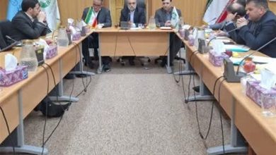 اصل مهم در مسئولیت اجتماعی حفظ محیط زیست است / اخبار اردبیل - اخبار استانها