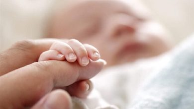 برگزاری کارگاه «هادیان زندگی» برای ترویج جوانی جمعیت در یزد / اخبار یزد - اخبار استانها