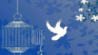 آزادی 11 زندانی جرائم غیرعمد در یادواره شهدای بم / اخبار کرمان - اخبار استانها