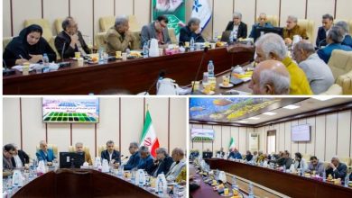 بررسی راهکارهای افزایش تولید میگوی پرورشی در نشست تخصصی استان بوشهر / اخبار بوشهر - اخبار استانها