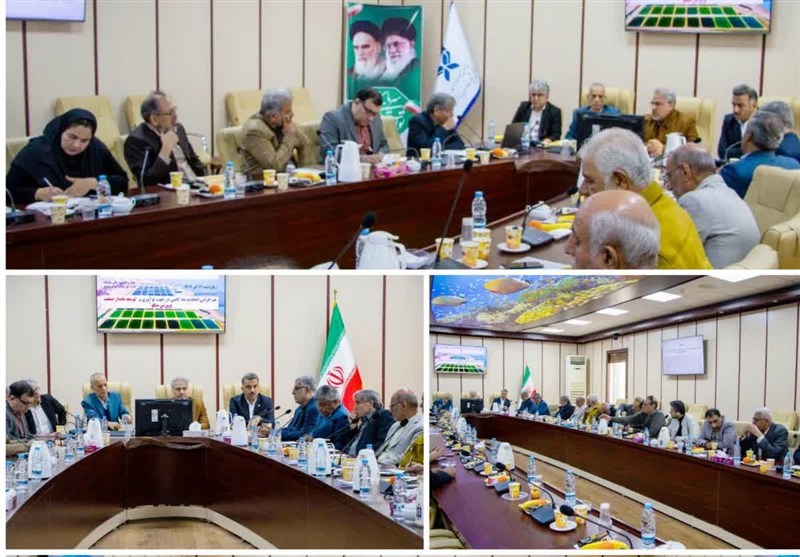 بررسی راهکارهای افزایش تولید میگوی پرورشی در نشست تخصصی استان بوشهر / اخبار بوشهر - اخبار استانها