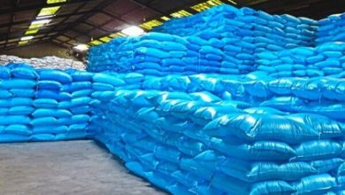 هشدار نسبت به تهدید امنیت غذایی کشور بهدلیل عدم تامین ارز سم و کود / امنیت غذایی , سم و کود , بحران ارز , کشاورزی , تولید گندم