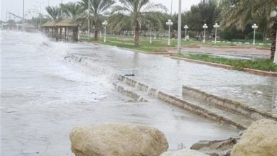 بارش 69 میلیمتر باران در شهرستان دیر / اخبار بوشهر - اخبار استانها