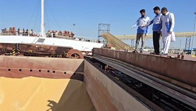 نظارت دامپزشکی چگونه ریسکهای غذایی را مهار میکند؟ / اخبار سیستان و بلوچستان - اخبار استانها