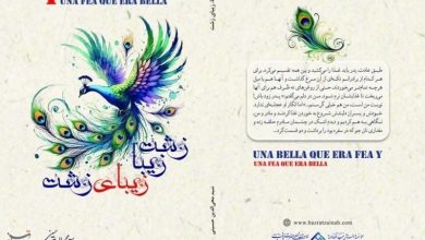 معرفی کتاب زشتِ زیبا، زیبایِ زشت؛ روایتی عمیق از معنای حقیقی زیبایی در عصر ظواهر / اخبار قم - اخبار استانها