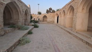 کشف شگفتانگیز در دهدشت؛ قدمت بلاد شاپور به هفت هزار سال رسید+فیلم / اخبار کهگیلویه و بویراحمد - اخبار استانها