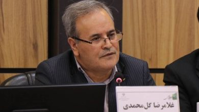 20 طرح کلان کشاورزی روی ریل اجرا؛ تغییر رویکرد تات به پژوهش کاربردی / اخبار خراسان رضوی - اخبار استانها