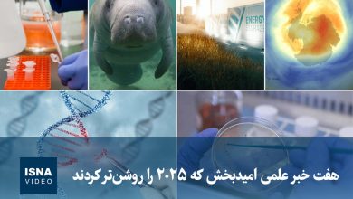 هفت خبر علمی امیدبخش که سال ۲۰۲۵ را روشنتر کردند / علمی , فناوری , پیشرفت , هوش مصنوعی , انرژی پاک
