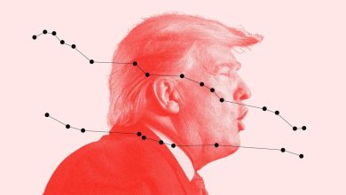 سقوط محبوبیت ترامپ به منفی ۱۷ درصد در پی نارضایتی اقتصادی آمریکاییها / ترامپ , محبوبیت , اقتصاد آمریکا , انتخابات آمریکا , جمهوریخواهان