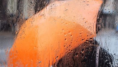 هشدار نارنجی هواشناسی در استان کهگیلویه و بویراحمد صادر شد / اخبار کهگیلویه و بویراحمد - اخبار استانها