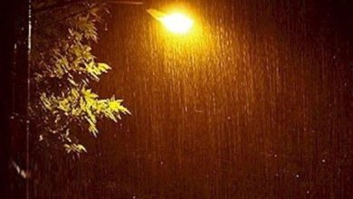 بارندگیهای شدید و آنفلوآنزا مدارس کیش را غیرحضوری کرد/ تغییر ساعت کار بانکها / اخبار جزایر خلیج فارس - اخبار استانها