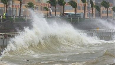 فرماندار قشم: شرایط ناشی از طوفان در شهرستان تحت کنترل است / اخبار جزایر خلیج فارس - اخبار استانها