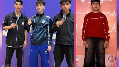 ووشوی کردستان در مسیر تیمملی؛ دعوت 4 ورزشکار به اردوی انتخابی / اخبار کردستان - اخبار استانها