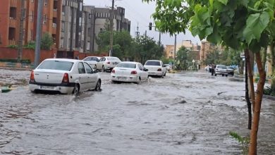 115.7 میلیمتر بارندگی در کردستان ثبت شد / اخبار کردستان - اخبار استانها