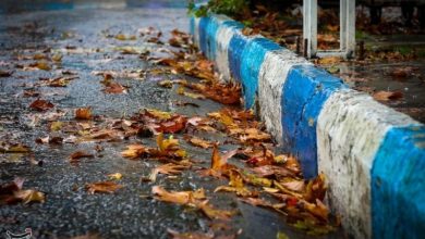 آمادگی کامل شورای هماهنگی راه و شهرسازی فارس در پی هشدار سطح قرمز هواشناسی / اخبار فارس - اخبار استانها