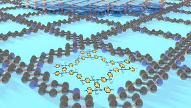 صادرات نانوپلیمرهای ایرانی به ترکیه و عراق با قابلیت افزایش طول عمر تجهیزات صنعتی / نانوپلیمر , صادرات , صنعت نفت و گاز , فناوری نانو , مواد شیمیایی