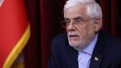 دیدار عارف با خانواده اشرف بروجردی / اخبار سیاسی روز , اخبار دولت