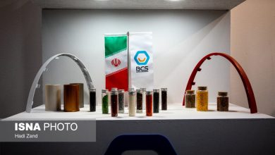 اقتصاد نانوی ایران در سال ۱۴۰۳؛ تمرکز فروش در شرکتهای بزرگ / اقتصاد نانو , شرکتهای نانویی , فروش نانو , فناوری نانو , صنعت نانو