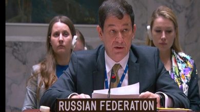 روسیه خواستار آتشبس فوری و بدون قید و شرط در غزه شد / روسیه , غزه , آتشبس , سازمان ملل , فلسطین