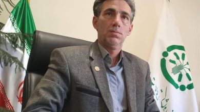 تامین و توزیع 41 هزار تن کود یارانهای بین کشاورزان استان مرکزی / اخبار مرکزی - اخبار استانها