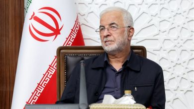 دستور آمادهباش وزیر کشور به استانداران کرمان، فارس، بوشهر و هرمزگان / اخبار سیاسی روز , اخبار دولت