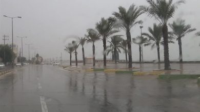 60 میلیمتر بارش باران در شمال استان بوشهر ثبت شد / اخبار بوشهر - اخبار استانها