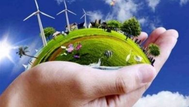 حفاظت از طبیعت کردستان؛ ضرورتی برای توسعه پایدار و امنیت زیستمحیطی / اخبار کردستان - اخبار استانها