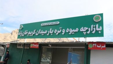 نخستین بازارچه میوه و ترهبار خرمآباد افتتاح شد+تصاویر / اخبار لرستان - اخبار استانها