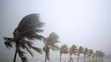 بیشترین بارش باران در عسلویه به میزان 43.5 میلیمتر ثبت شد / اخبار بوشهر - اخبار استانها