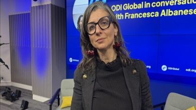 درخواست گزارشگر ویژه سازمان ملل برای تعلیق عضویت رژیم صهیونیستی در مجمع عمومی / رژیم صهیونیستی , سازمان ملل , فرانچسکا آلبانیز , نوار غزه , تحریم