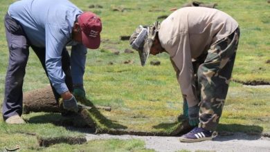 شایعه در شهر؛ دیدار تراکتور و پرسپولیس در بنیان دیزل برگزار میشود / اخبار آذربایجان شرقی - اخبار استانها