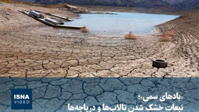هشدار درباره تبعات خشک شدن تالابها و دریاچهها؛ ویدیو / تالاب , دریاچه , خشک شدن , بادهای سمی , محیطزیست