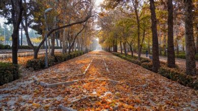 «آخر پاییز» در خراسان شمالی/ رقص رنگها در دامنه تا دشت+تصاویر / اخبار خراسان شمالی - اخبار استانها