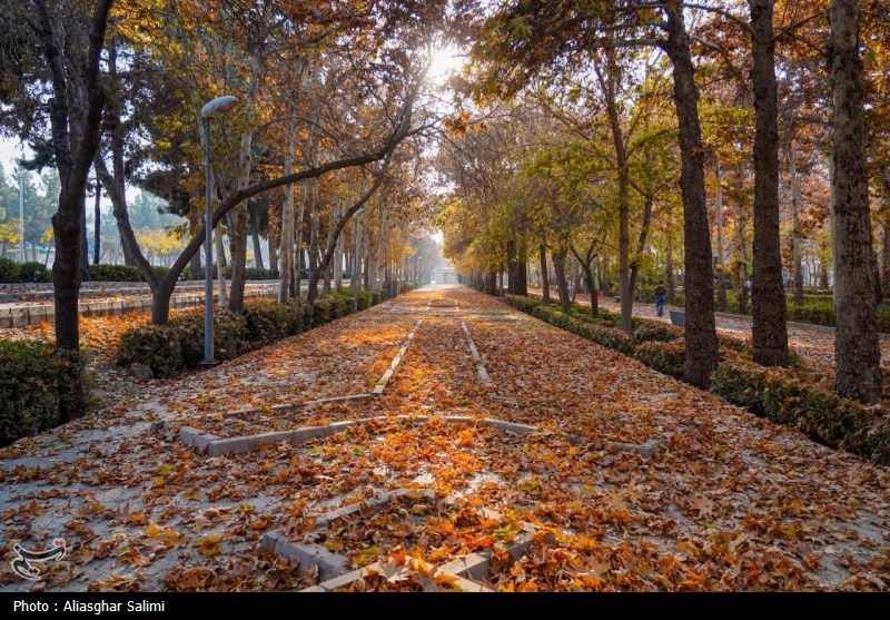 «آخر پاییز» در خراسان شمالی/ رقص رنگها در دامنه تا دشت+تصاویر / اخبار خراسان شمالی - اخبار استانها