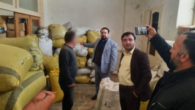 برخورد قاطع دادستانی شاهرود با تهدیدکنندگان سلامت / اخبار سمنان - اخبار استانها