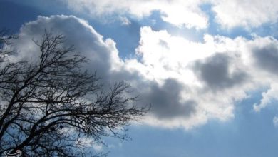 پیشبینی آسمان صاف تا نیمهابری همراه با وزش باد؛ ماندگاری هوای سرد تا صبح یکشنبه در زنجان / اخبار زنجان - اخبار استانها