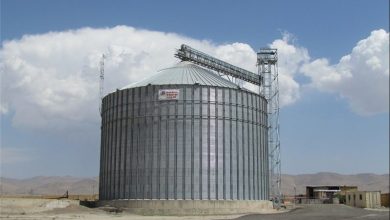 ایجاد سیلوی 20 هزارتنی گندم در غرب گلستان/صفهای تحویل گندم کاهش مییابد / اخبار گلستان - اخبار استانها