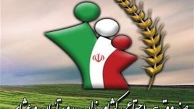 پرداخت تسهیلات کمبهره برای مستمریبگیران صندوق بیمه روستایی یزد / اخبار یزد - اخبار استانها