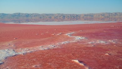 ساماندهی تالاب مهارلو با نگاهی همهجانبه صورت خواهد گرفت / اخبار فارس - اخبار استانها