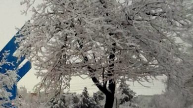 تداوم بارشهای پراکنده برف و باران در یزد تا عصر امروز / اخبار یزد - اخبار استانها