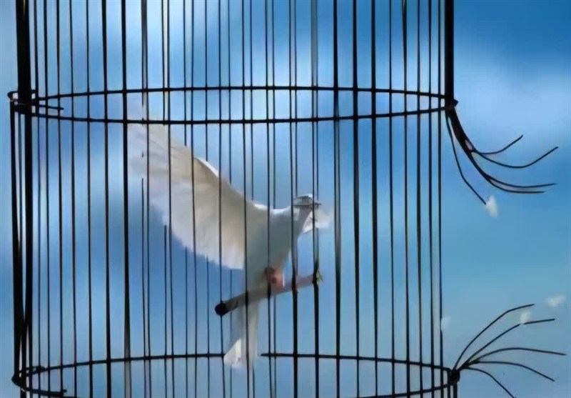 دادستان پاکدشت: آزادی 22 زندانی و مرخصی ویژه یلدا و میلاد حضرت زهرا(س) / اخبار استان تهران - اخبار استانها