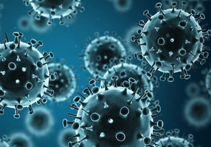 هشدار مسئولان بهداشت کیش نسبت به وضعیت شکننده جزیره در برابر ویروس آنفلوآنزا / اخبار جزایر خلیج فارس - اخبار استانها