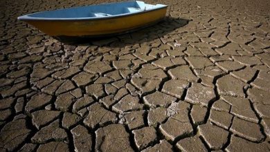 یادداشت| دریای عمان و تشنگی سیستان؛ فاصله وعده تا واقعیت! / اخبار سیستان و بلوچستان - اخبار استانها