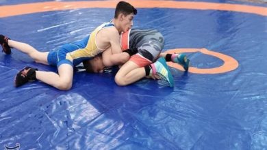 برای احیای کشتی استان از همه ظرفیتها استفاده میکنیم / اخبار کرمانشاه - اخبار استانها