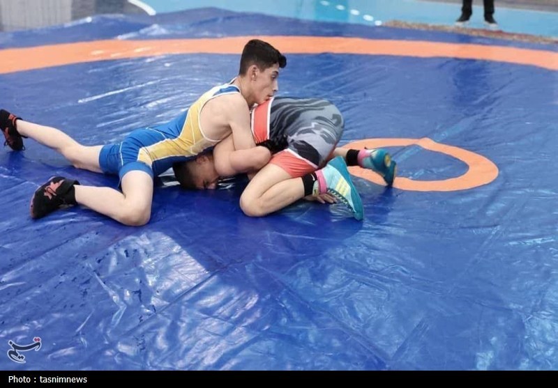 برای احیای کشتی استان از همه ظرفیتها استفاده میکنیم / اخبار کرمانشاه - اخبار استانها